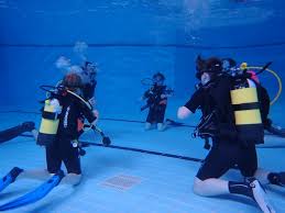 Image result for Plymouth Aquanauts