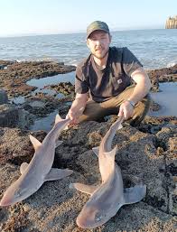 Image result for Bargoed Sea Anglers