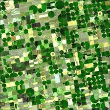 Image result for crop circles