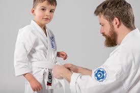 Image result for Aylesbury Vale Seido Karate