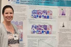 Image result for Myzopsetta ferruginea