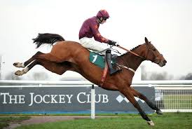 Image result for The Horse Racing Club