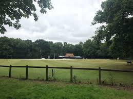 Image result for Buscot Park Cricket Club