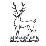 Image result for Buckhorn Weston Cricket Club