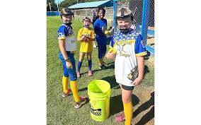Image result for Elmbridge Girls` Little League