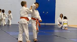 Image result for Ki Aikido (Epsom Ki Aikido
