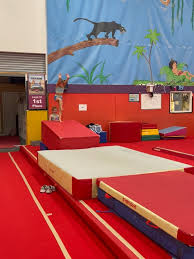 Image result for Arabian School Of Gymnastics, Milton Keynes