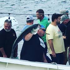 Image result for Morone saxatilis