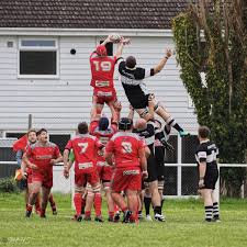 Image result for Pembroke Dock Harlequins RFC