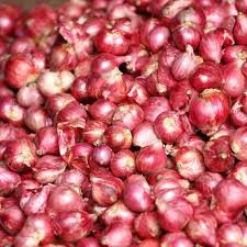 Image result for Zwiebeln