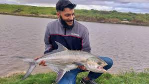 Image result for Lichia amia