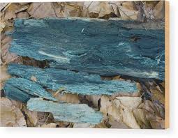 Attēlu rezultāti vaicājumam “Chlorociboria aeruginascens”