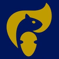 Image result for Haslington Cricket Club