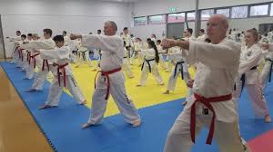 Image result for Thames Valley Karate