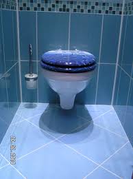 Image result for WC rekonstrukce foto