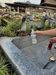 Image result for 水野X68仁義