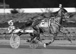 Image result for Foiled Again