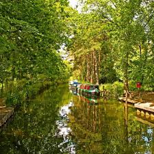 Image result for Frimley