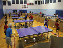 Image result for Reigate Roystons Table Tennis Club