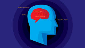 Image result for Sheffield Keep Fit Association