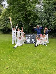 Image result for Felixstowe and Corinthians Youth Cc
