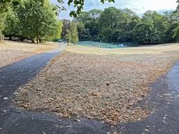 Image result for Ashcombe Bowls Club