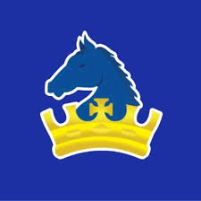 Image result for Yelverton Bohemians Cricket Club