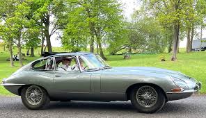 Image result for Warwick Gray 1965 Jaguar