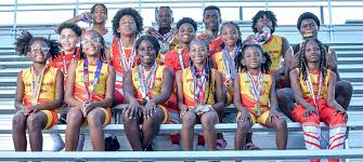 Image result for Blaze Netball Club