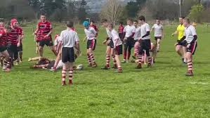 Image result for Llangennech Rfc