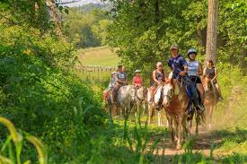 Image result for The Riding Centre