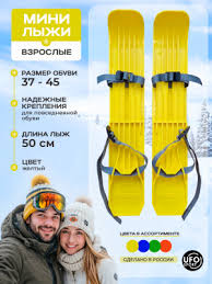 Image result for Лыжи пластиковые 200 с креплением 2008061837045