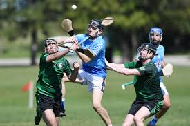 Image result for Ceann Creige Hurling and Camogie Club