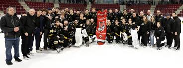 Image result for New Milton Hockey Club