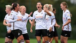 Image result for Swansea Ladies Hockey Club
