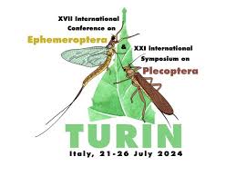 Attēlu rezultāti vaicājumam “Ephemeroptera”