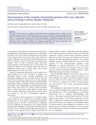 Attēlu rezultāti vaicājumam “Myurella julacea”