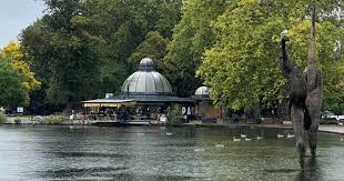 Image result for Victoria Park Harriers Athletics Club