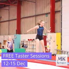 Image result for Mk Springers Gymnastics Club