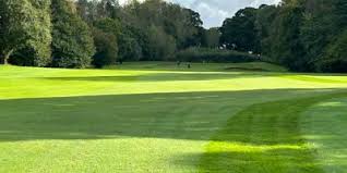 Image result for Yeovil Scrabble Club