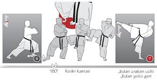 Image result for Jodan Karate