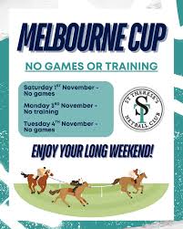 Image result for Haxby Netball Club