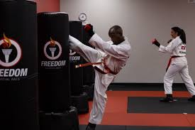 Image result for Freedom Martial Arts