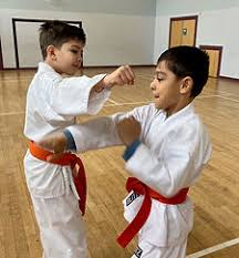 Image result for Maidenhead Karate Club