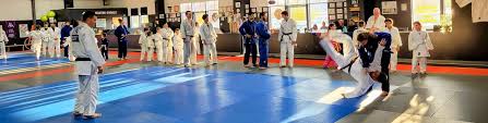 Image result for Moonraker Judo Club