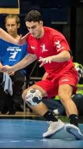 Image result for Deva Handball Club