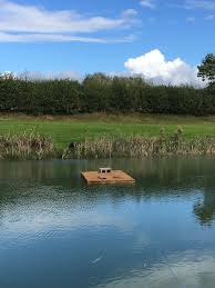 Image result for Greetham Valley Golf Club