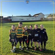 Image result for Farnborough Rfc Minis & Juniors