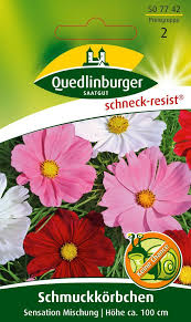 Image result for Schmuckkörbchen