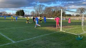 Image result for Cowes Sports Football Club